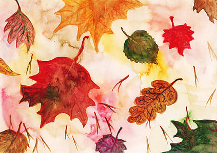 photo of maple leaf illustration thumbnail