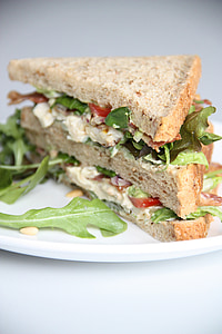 plate of sandwitch and vegetables thumbnail