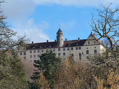 Heiligenberg Castle, Castle thumbnail