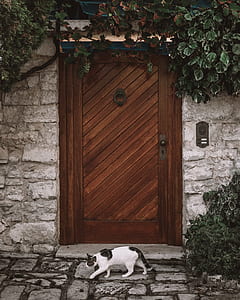brown wooden door thumbnail
