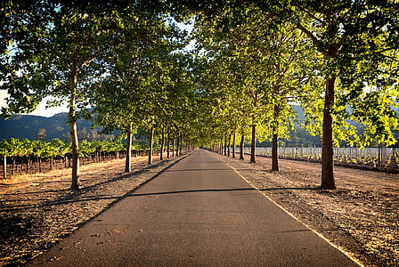 empty road thumbnail
