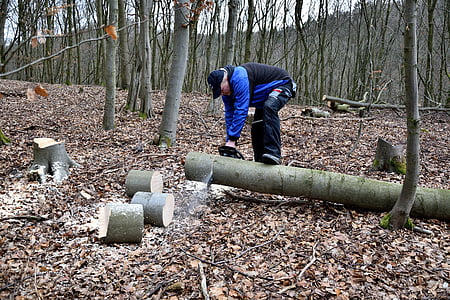 man cutting trees thumbnail