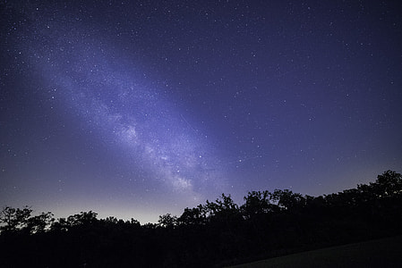Bright Galaxy Above the Trees thumbnail