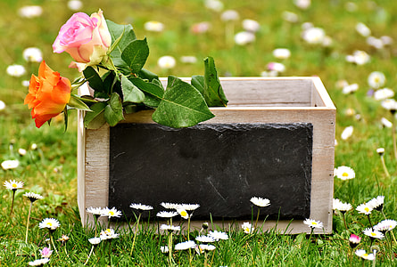pink-and-orange rose flower on rectangular brown wooden case close-up photo during daytime thumbnail