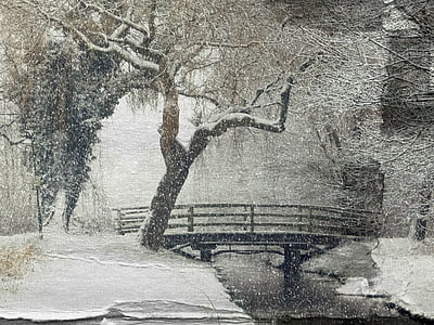 bare tree covered with snow thumbnail