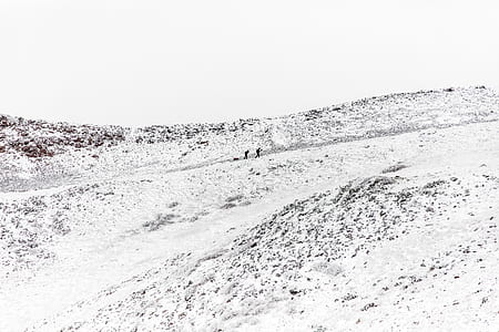 mountain, field, hill, snow thumbnail