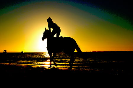 silhouette of person seating on horse during sunset thumbnail