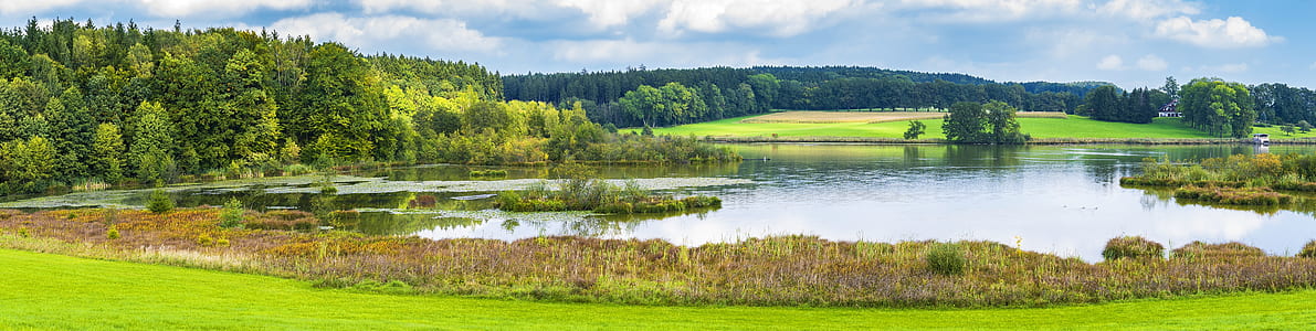 landscape photography of green grass field thumbnail