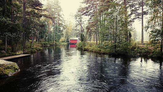 body of water surrounded with trees thumbnail