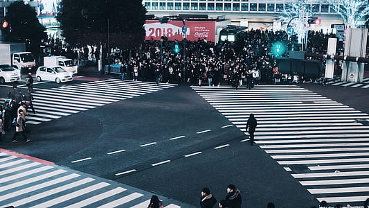 people crossing on street thumbnail