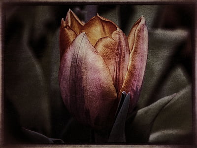 pink flower painting thumbnail
