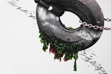 grey steel chains near body of water thumbnail