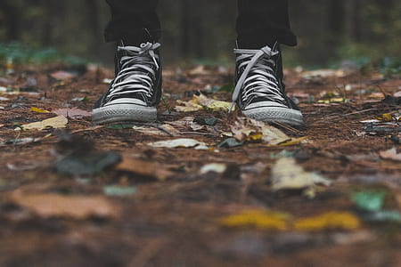person wearing pair of black leather shoes thumbnail