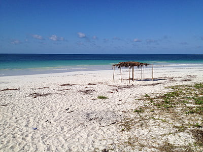 beach with white sand under blue sky thumbnail