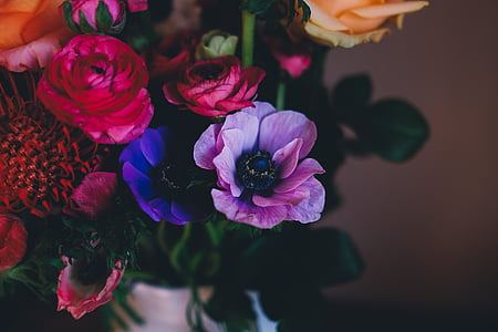pink roses bouquet thumbnail