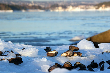 stones on snow covered ground thumbnail