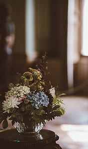 blue and white hydrangeas and white dahlia in clear glass vase on table thumbnail