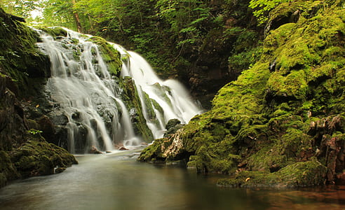 timelapse photography of a waterfalls near green leaf trees thumbnail