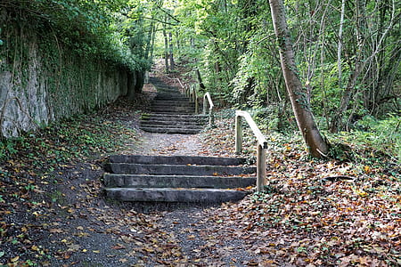 gray concrete stairs covered with dried leaves thumbnail