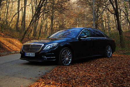 black sedan in the forest during daytime thumbnail