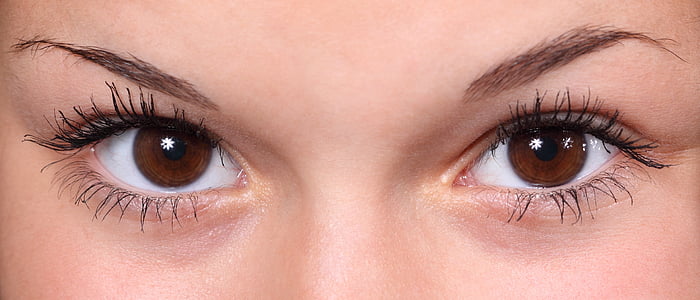 human brown eyes thumbnail