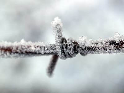 Closeup Photography of Ice Covered Metal Wire thumbnail
