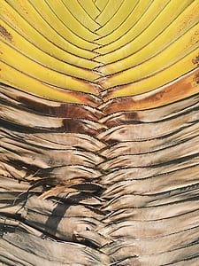 brown and yellow artwork thumbnail