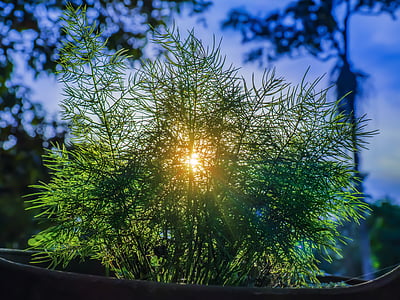 selective focus photography of grass during daytime thumbnail