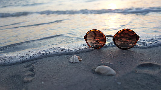 amber sunglasses on shore thumbnail
