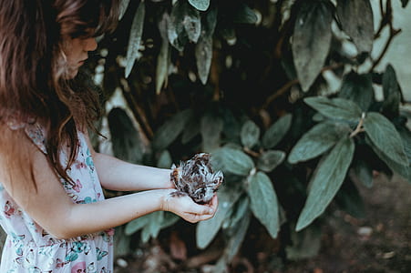 girl holding brown and white bird thumbnail