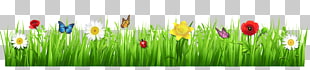 Tulip Meadow Grasses Wildflower , Spring Grass with Flowers , white daisy illustration PNG clipart
