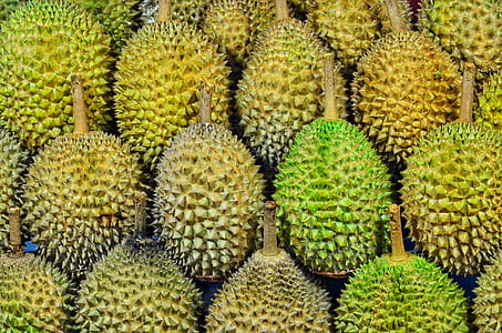 durian fruit thumbnail