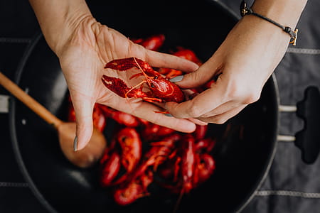 Boiled crayfish thumbnail