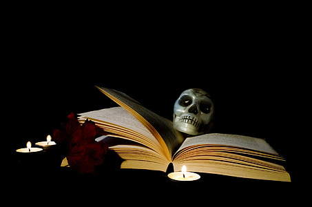 skull on opened book thumbnail