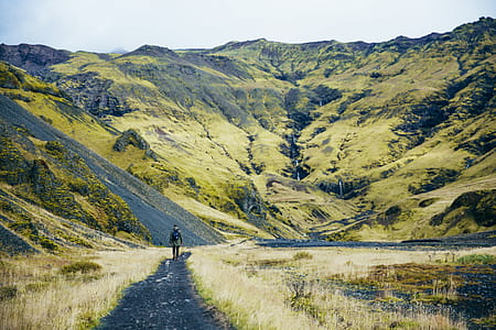 A hiker on green fields near glacier on a cloudy day thumbnail