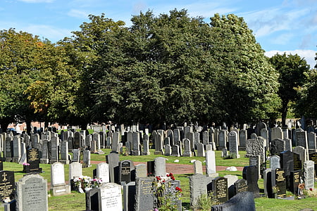 tombstones on ground near green leafed tree at daytime thumbnail