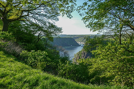 body of water near trees thumbnail