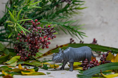 Rhino Figurine thumbnail