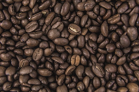 Coffee Beans From Above Photo thumbnail