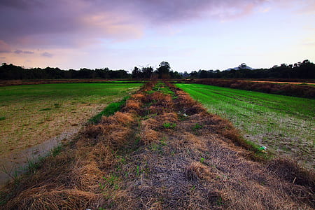 landscape, nature, sky, clouds thumbnail