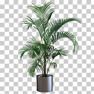 Houseplant Flowerpot Gardening Tree, Indoor plant potted plants, green leafed plant on metal pot PNG clipart