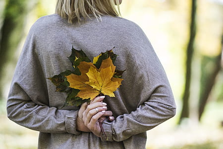 woman holding yellow and green maple leaves thumbnail