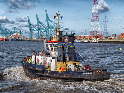 blue and white cargo ship on water thumbnail