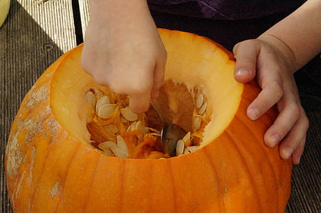 person carving pumpkin thumbnail