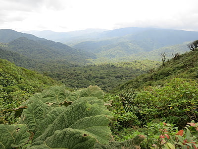 smoky mountains thumbnail