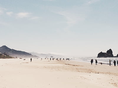 people on seashore during daytime thumbnail