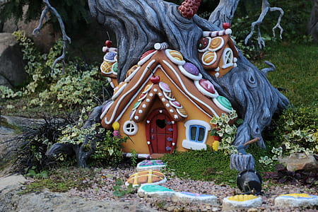 brown house under gray tree thumbnail