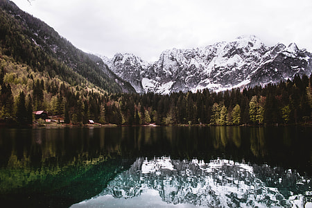 body of water surrounded by trees at daytime thumbnail