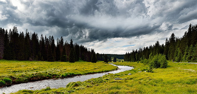 spring river between green grass field thumbnail
