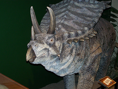 gray dinosaur figurine thumbnail